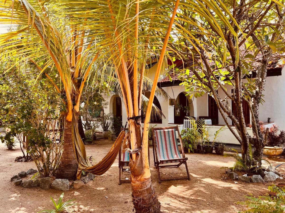 Little Lagoon Hostel Baie d'Arugam Extérieur photo